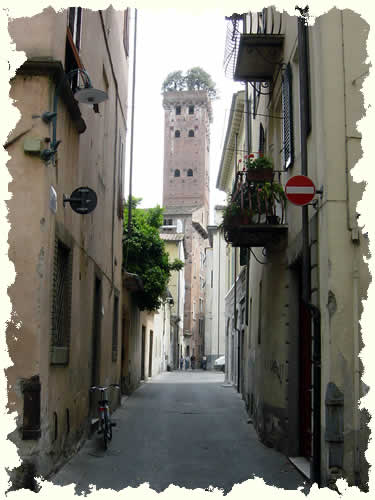 lucca