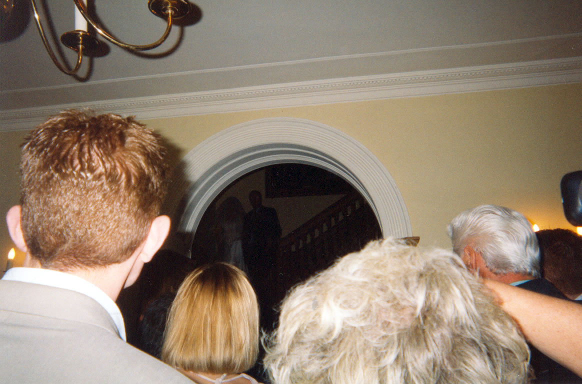 backs of people's heads